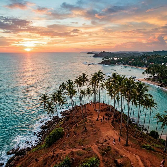 Coconut Tree Hill